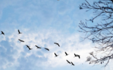 【理图严选】一月好书推荐-师生荐书-第一期