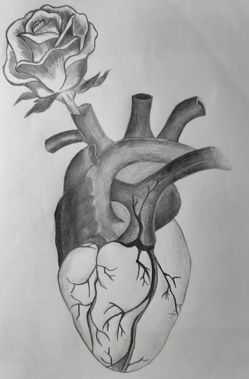 【新程启航，康复迎新】多维赋能学生成长，实践育人彰显成效