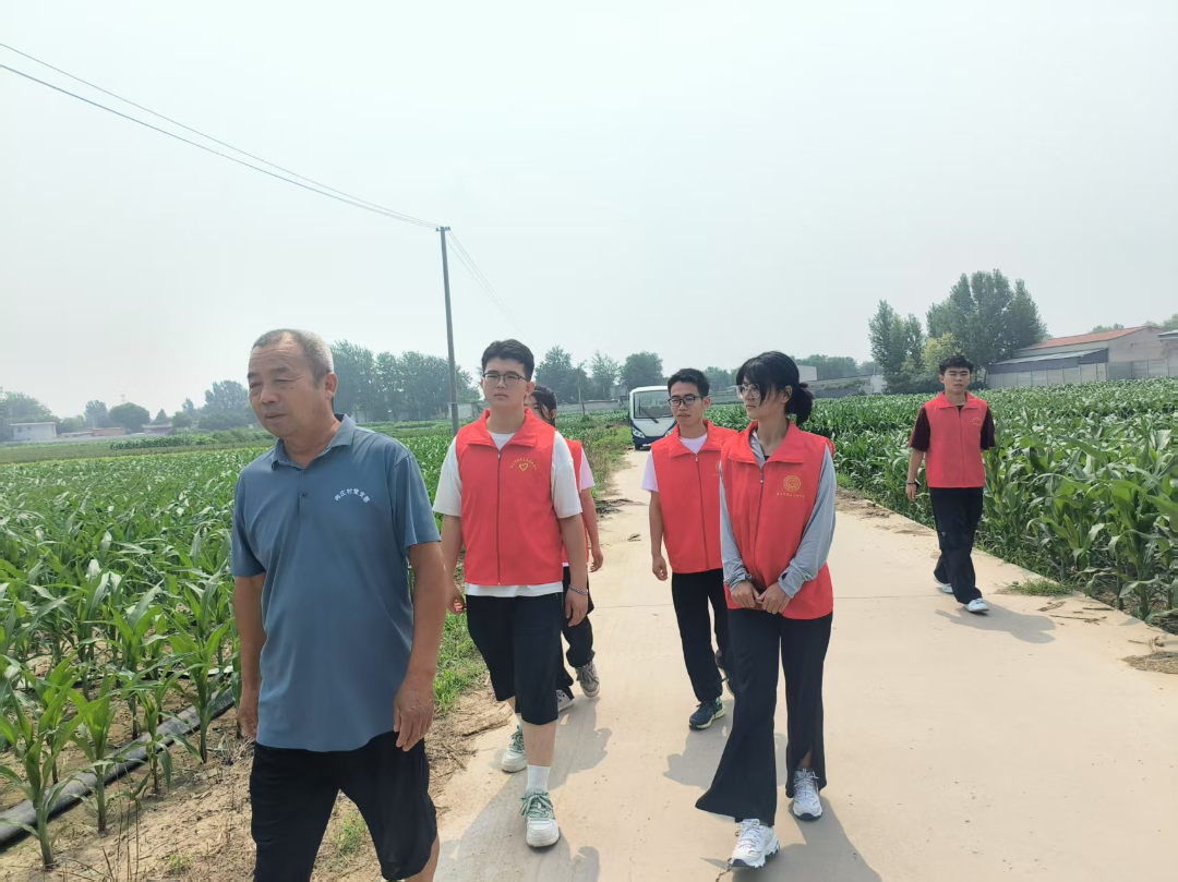 社会实践（九）｜“青春绽放，学苑风采”信息科学与工程学院暑期三下乡活动（三）