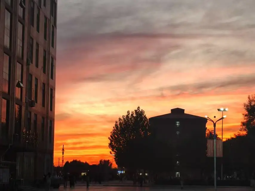 【教育学院·校园小记】秋日回顾：保理的秋与朝暮