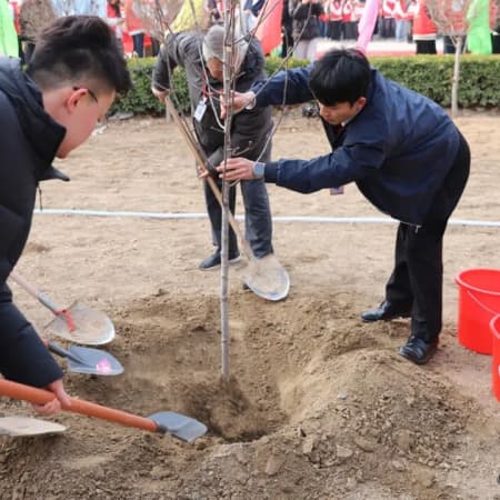植此青绿，不负春光
