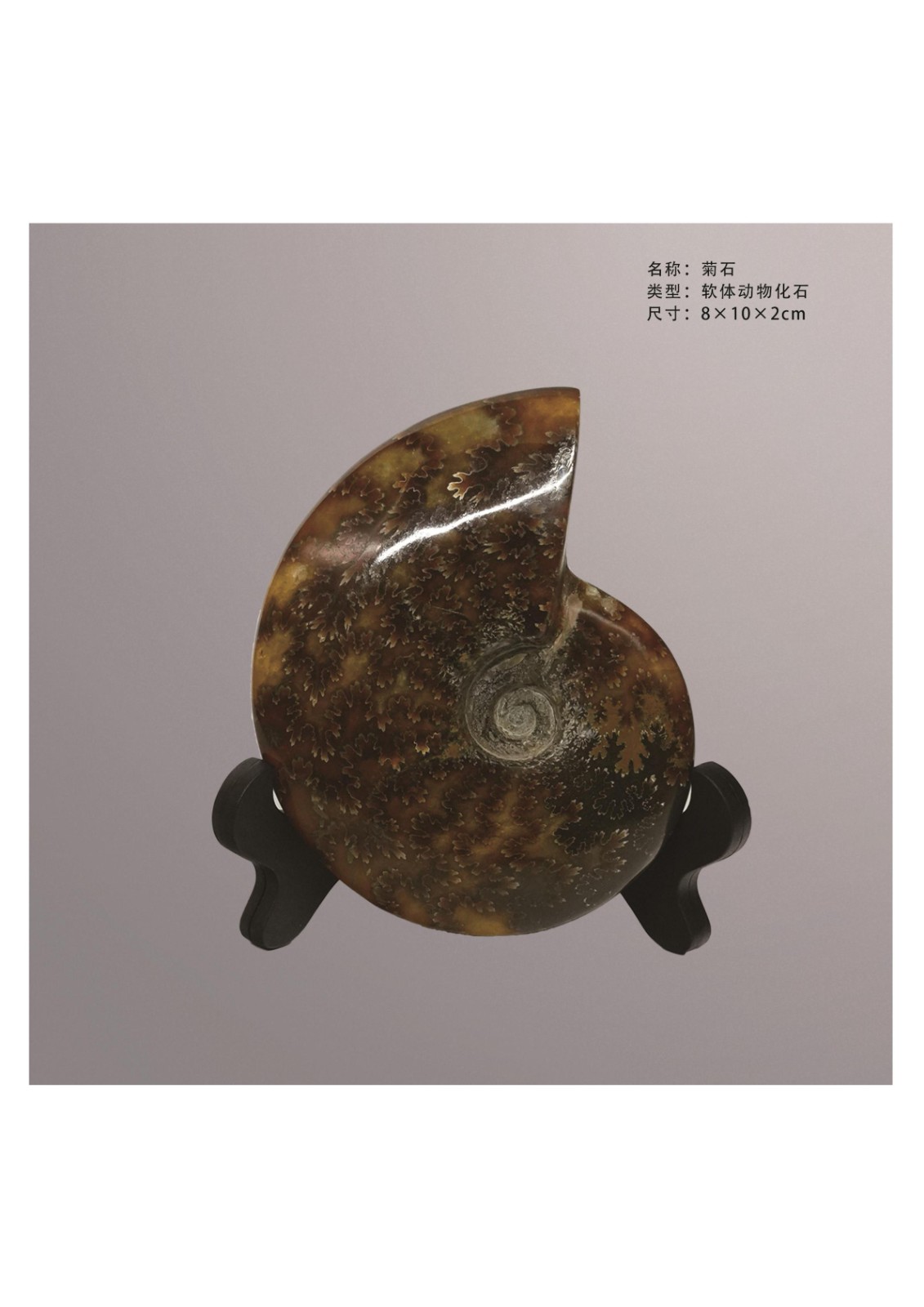 地质馆简介