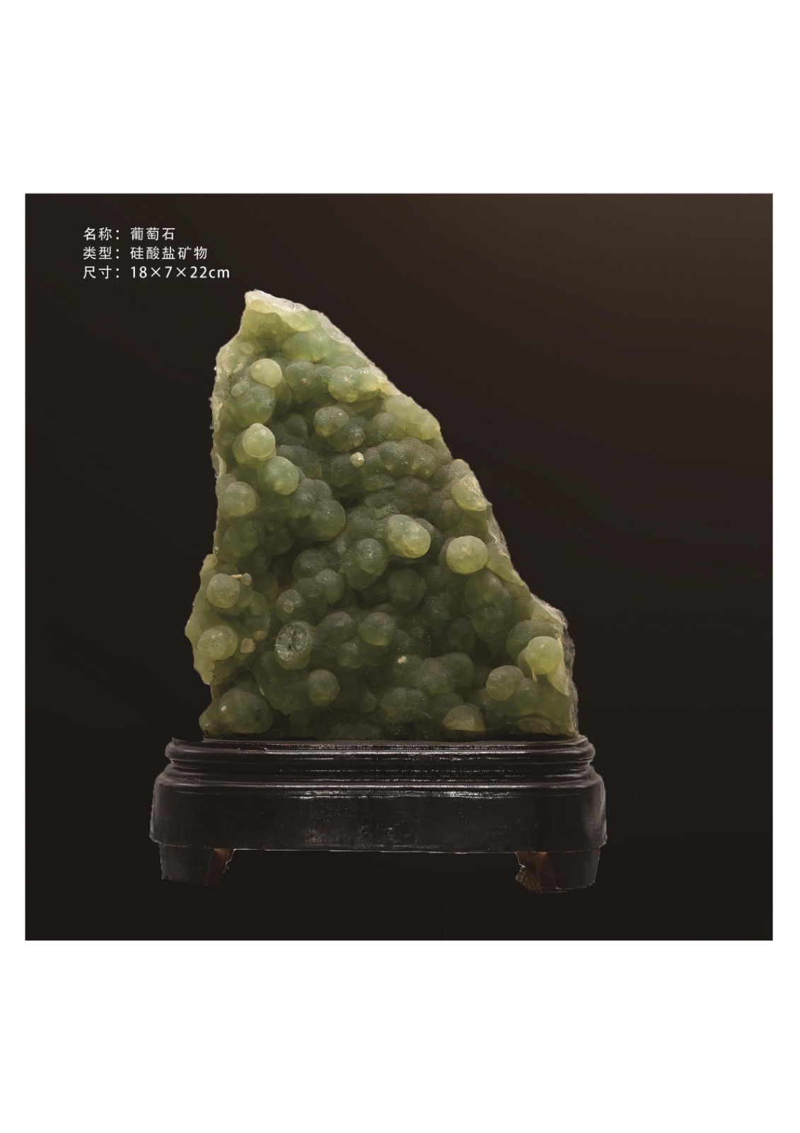 简介