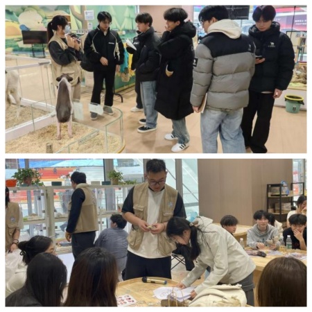 以实践促成长 以设计助发展——保定理工学院艺术学院校企实践收获企业感谢信