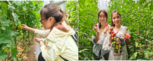 会计学院开展劳动教育专业实践活动