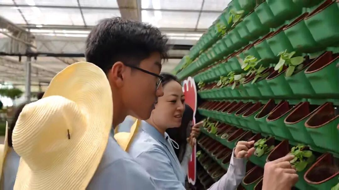当“新农具”遇上“新质力”！保定理工学院学子把课堂搬进桃园与智慧大棚