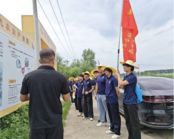 深耕曲阳薯业，挥洒助农青春——会计学院三下乡社会实践纪实（一）