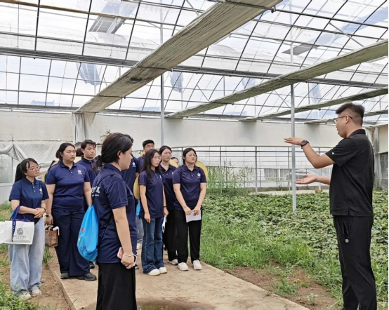 深耕曲阳薯业，挥洒助农青春——会计学院三下乡社会实践纪实（一）