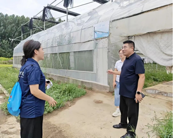 深耕曲阳薯业，挥洒助农青春——会计学院三下乡社会实践纪实（一）