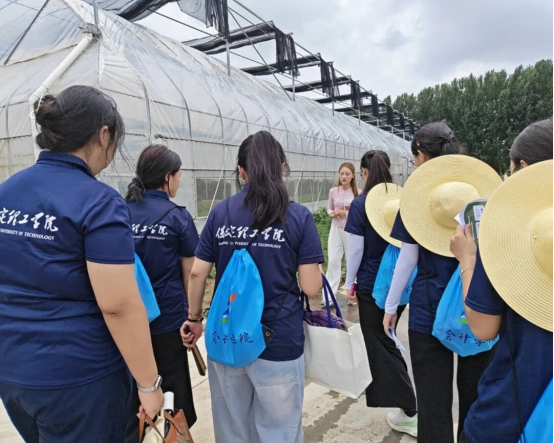 深耕曲阳薯业，挥洒助农青春——会计学院三下乡社会实践纪实（一）