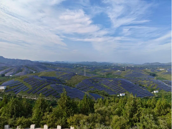 踏遍柳树沟沃土，探寻乡村振兴发展路——会计学院三下乡社会实践纪实(二)